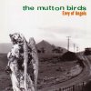 The Mutton Birds - Envy Of Angels.jpg